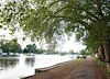 A riverside view of Steven's Eyot